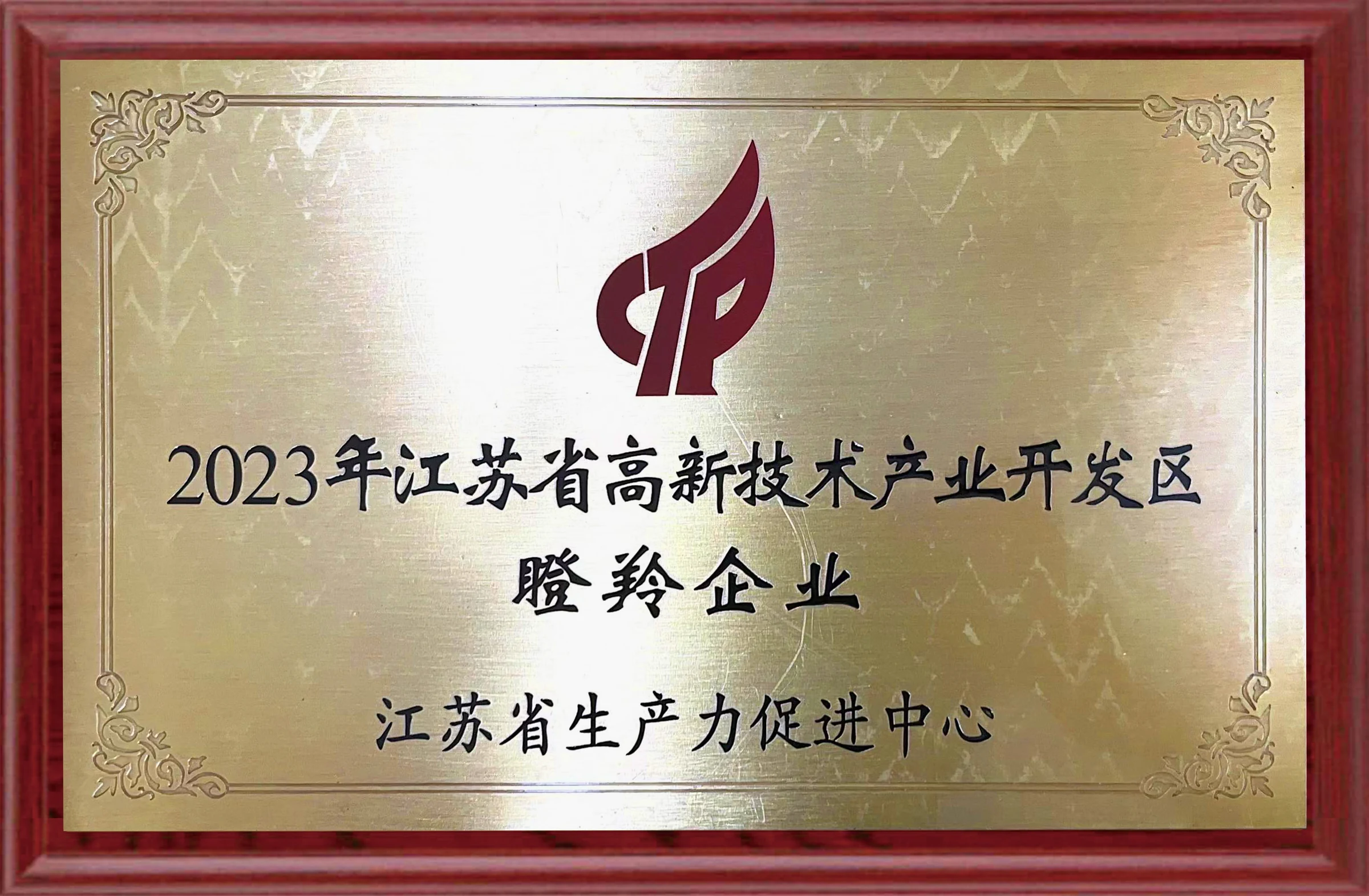 瞪羚企业证书